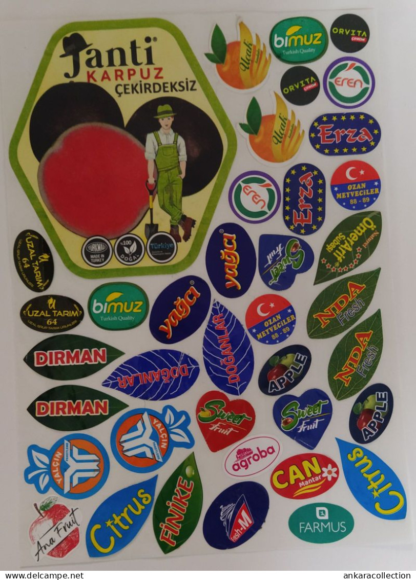 AC - FRUIT LABELS Fruit Label - STICKERS LOT #212 - Fruits & Vegetables