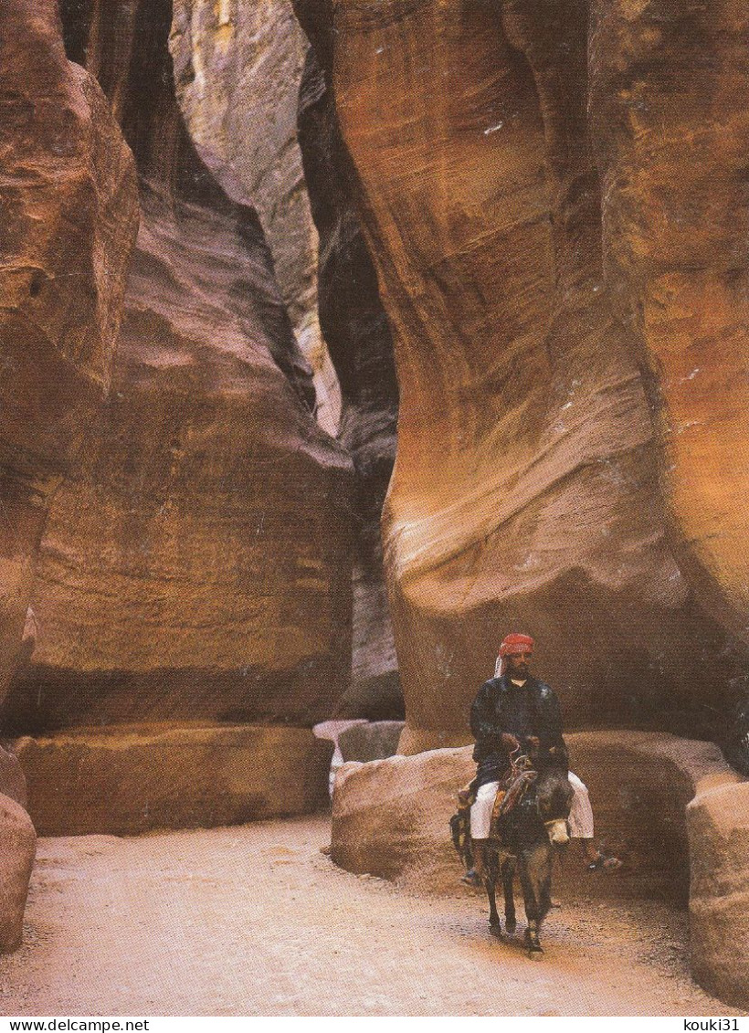 Petra : Le Siq , Homme Sur Un âne - Jordanien