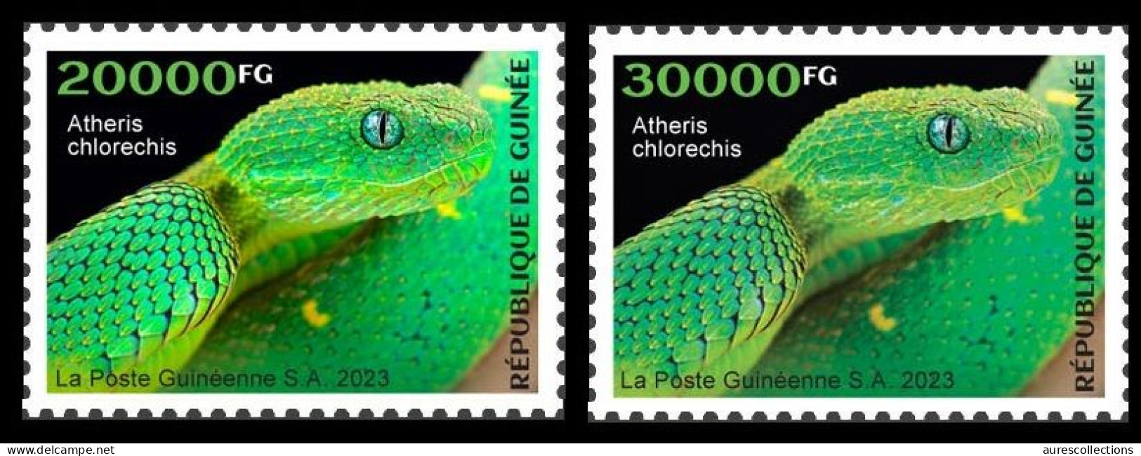 GUINEA GUINEE 2023 - SET 2V - REPTILES - SNAKES SNAKE SERPENTS SERPENT - MNH - Serpientes