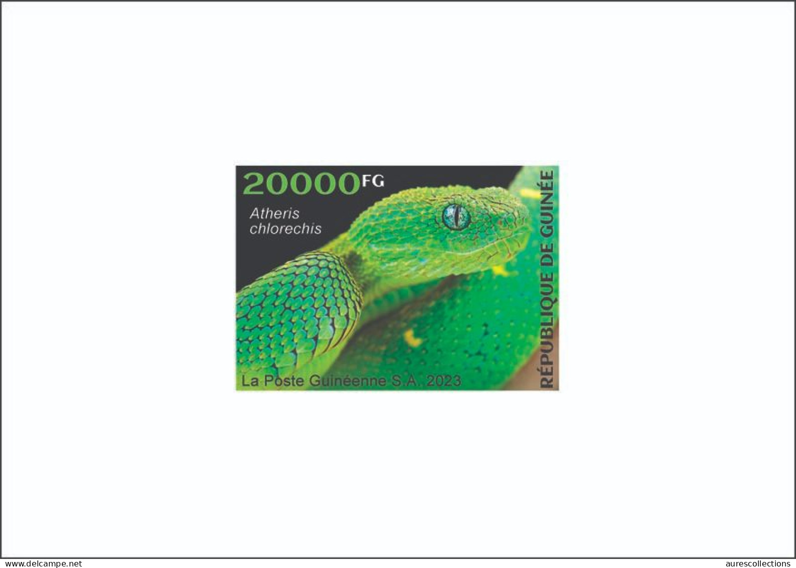 GUINEA GUINEE 2023 - DELUXE PROOF - REPTILES - SNAKES SNAKE SERPENTS SERPENT - Serpents