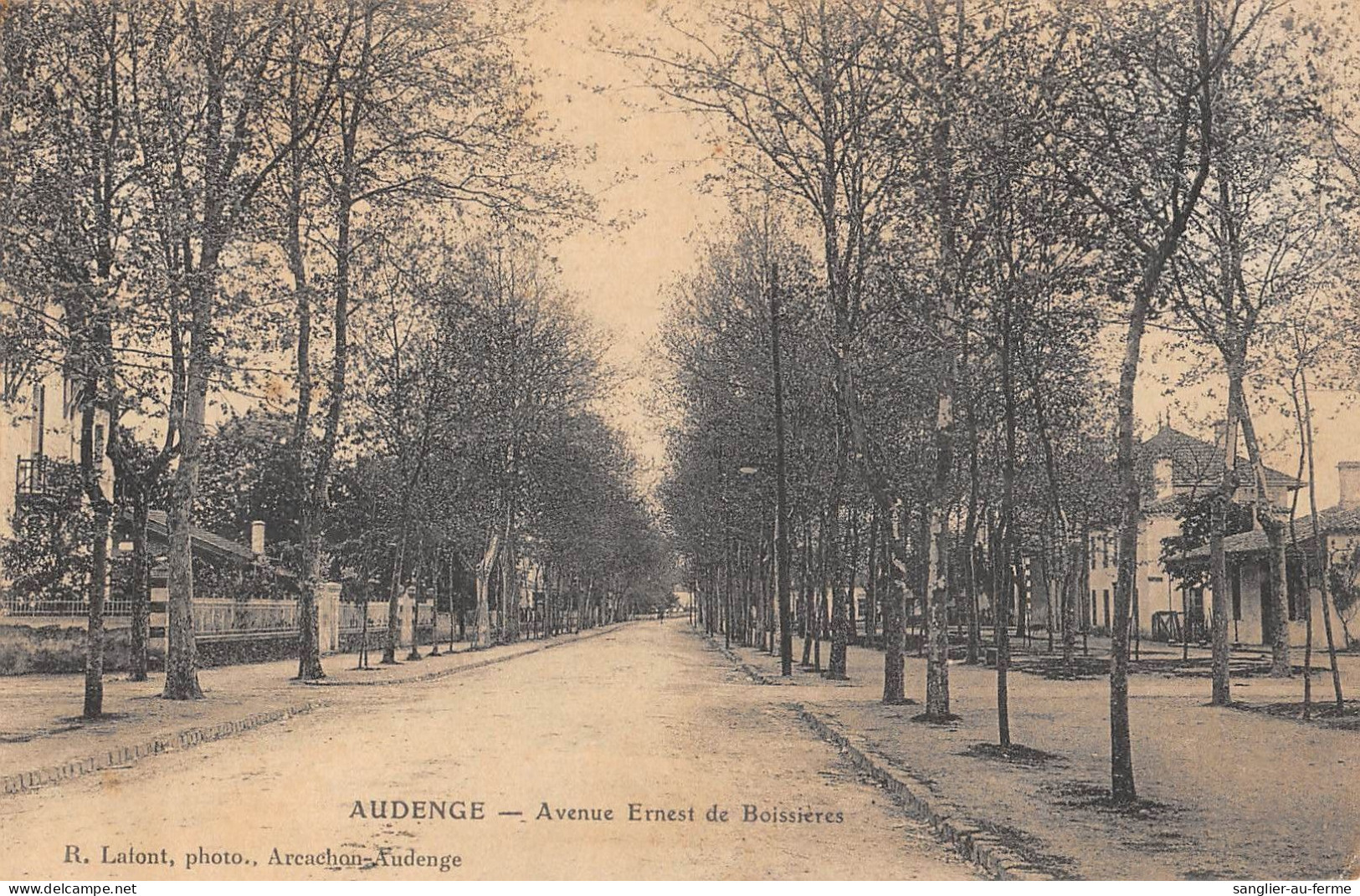 CPA 33 AUDENGE / AVENUE ERNEST DE BOISSIERES / Cliché Rare - Other & Unclassified