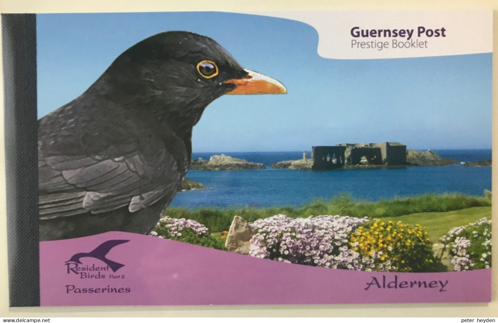 Alderney 2007 Resident Birds 2 Passerines ~ MNH Prestige Booklet ~ Blackbird, Warbler, Jackdaw, Sparrow, Wren, Tit - Alderney