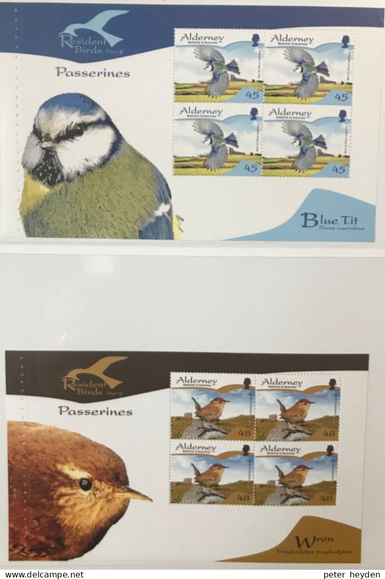 Alderney 2007 Resident Birds 2 Passerines ~ MNH Prestige Booklet Panes ~ Blackbird, Warbler, Jackdaw, Sparrow, Wren, Tit - Alderney
