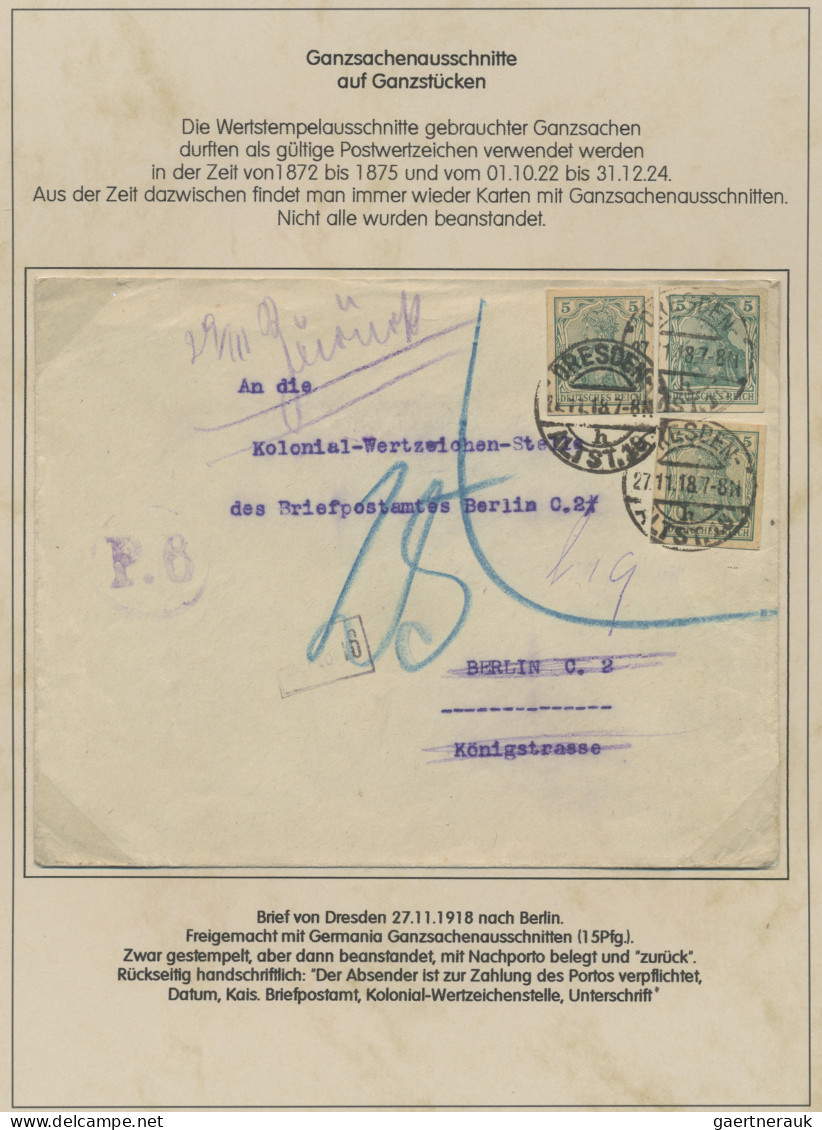 Deutsches Reich - Germania: 1900-1920 (ca), Germania-Ausgaben, Sammlung Im Album - Colecciones
