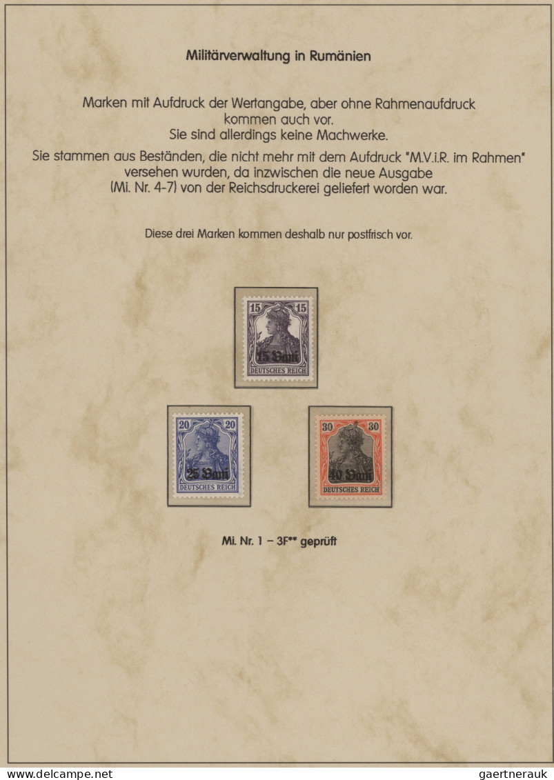 Deutsche Besetzung I. WK: Rumänien: 1917-1918, Sammlung Mit Marken Und 26 Belege - Ocupación 1914 – 18