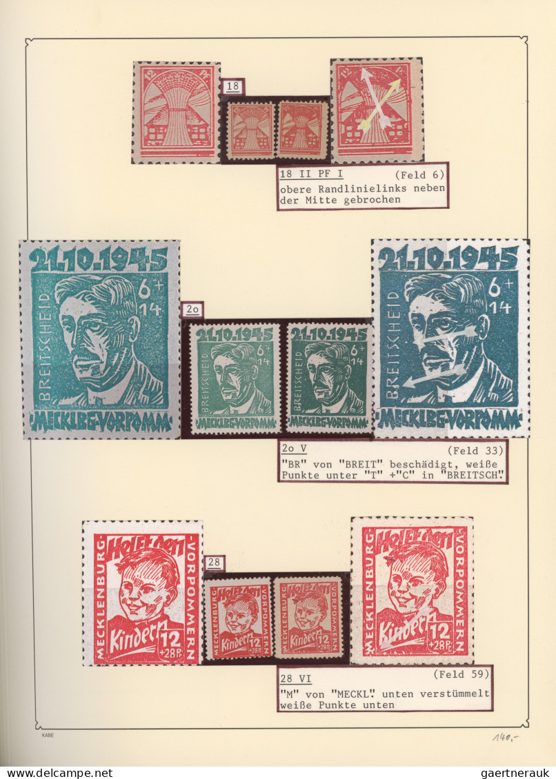 Sowjetische Zone Und DDR: 1945/1990, Spezialitäten/Besonderheiten, Umfangreiche - Sammlungen