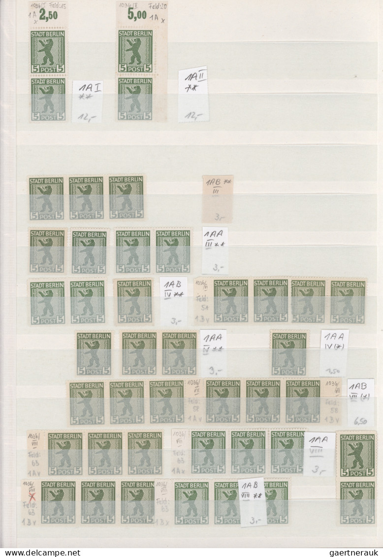 Sowjetische Zone: 1945/1948, Reichhaltiger Postfrisch/ungebrauchter Und Gestempe - Sonstige & Ohne Zuordnung