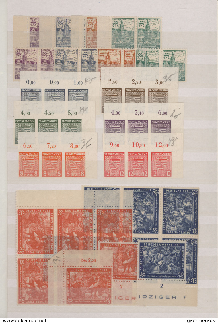 Sowjetische Zone: 1945/1949, Postfrischer Bestand Auf Steckseiten Mit Ausgaben V - Other & Unclassified