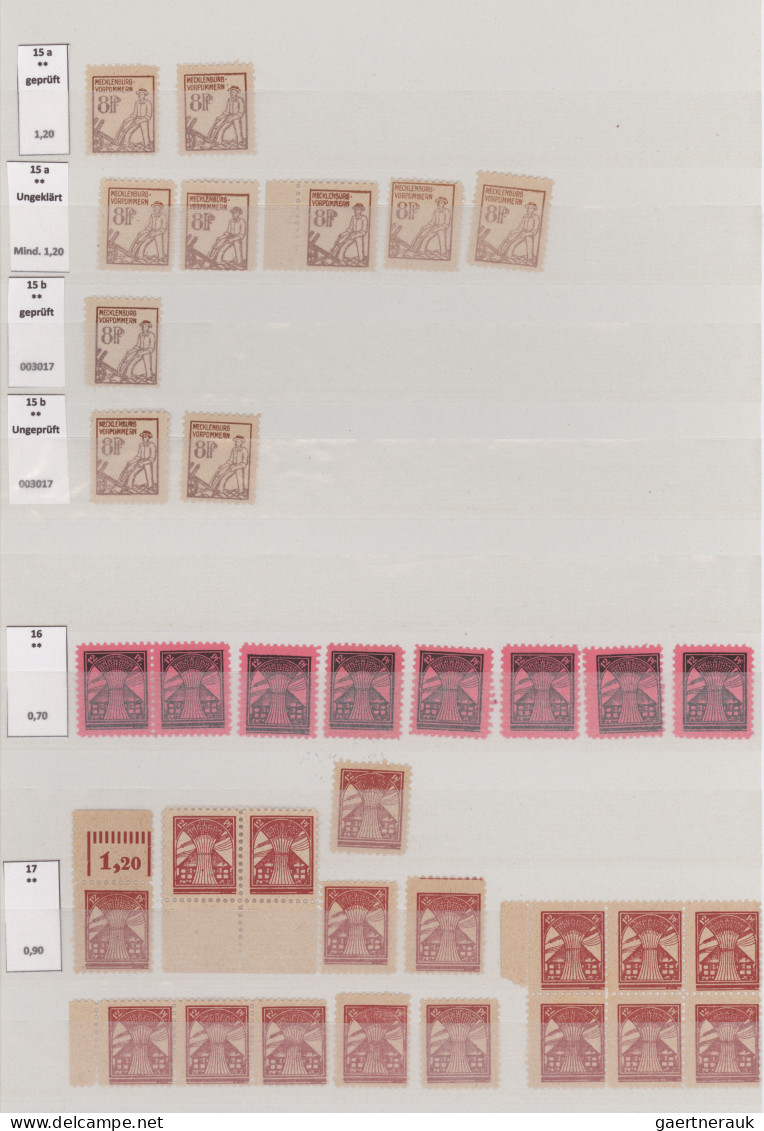 Sowjetische Zone - Mecklenburg-Vorpommern: 1945/1946, Erste Freimarkenausgabe, F - Andere & Zonder Classificatie