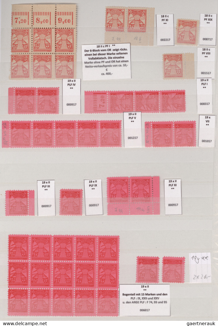 Sowjetische Zone - Mecklenburg-Vorpommern: 1945/1946, Erste Freimarkenausgabe, f