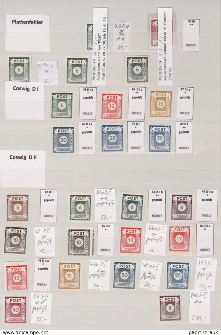 Sowjetische Zone - Ost-Sachsen: 1945/1946, Ziffern-Marken, Fast Nur Postfrische - Other & Unclassified