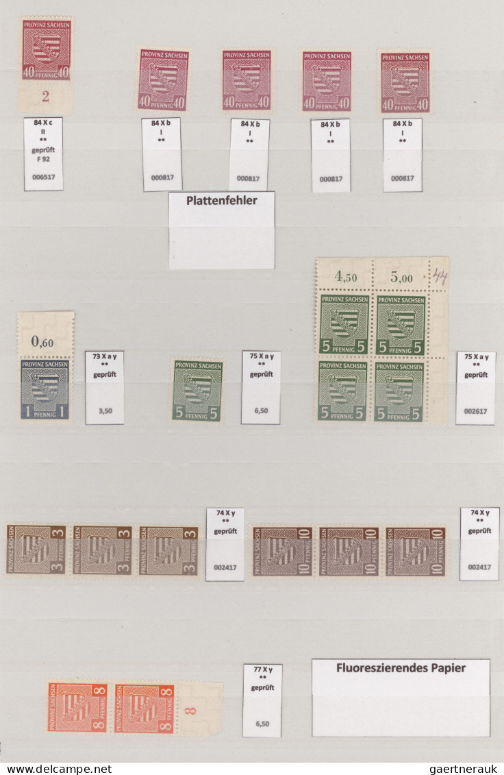 Sowjetische Zone - Provinz Sachsen: 1945/1946, Postfrische Spezial-Sammlung Von - Andere & Zonder Classificatie