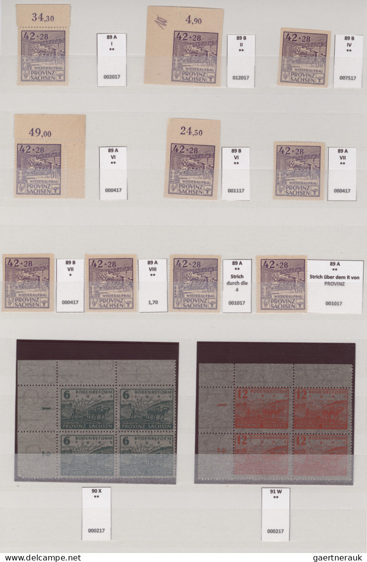 Sowjetische Zone - Provinz Sachsen: 1945/1946, postfrische Spezial-Sammlung von