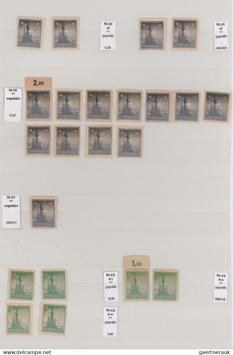 Sowjetische Zone - Thüringen: 1945/1946, Freimarken, Postfrische Sammlung Von Ca - Other & Unclassified