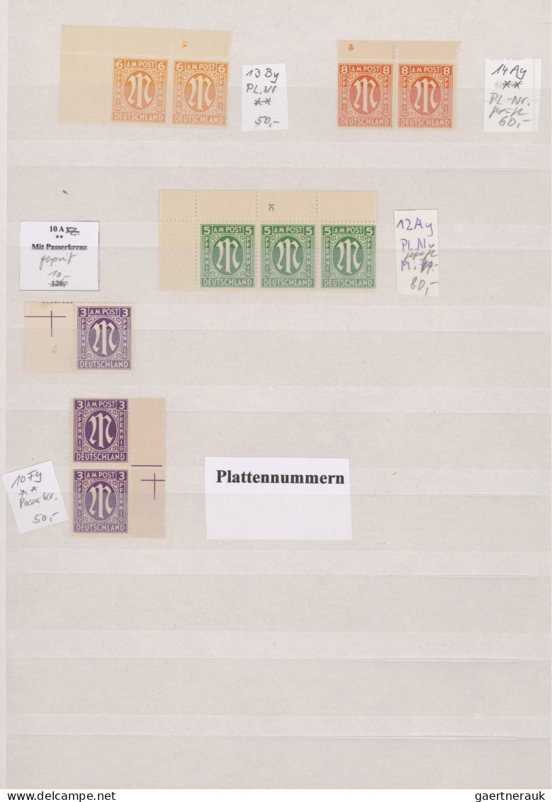 Bizone: 1945/1946, AM-Post Englischer Druck, Fast Nur Postfrische Spezialisierte - Other & Unclassified