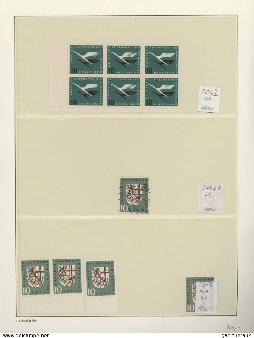 Bundesrepublik Deutschland: 1948/2002, Bizone/Bund, Umfangreicher Spezial-Sammlu - Colecciones