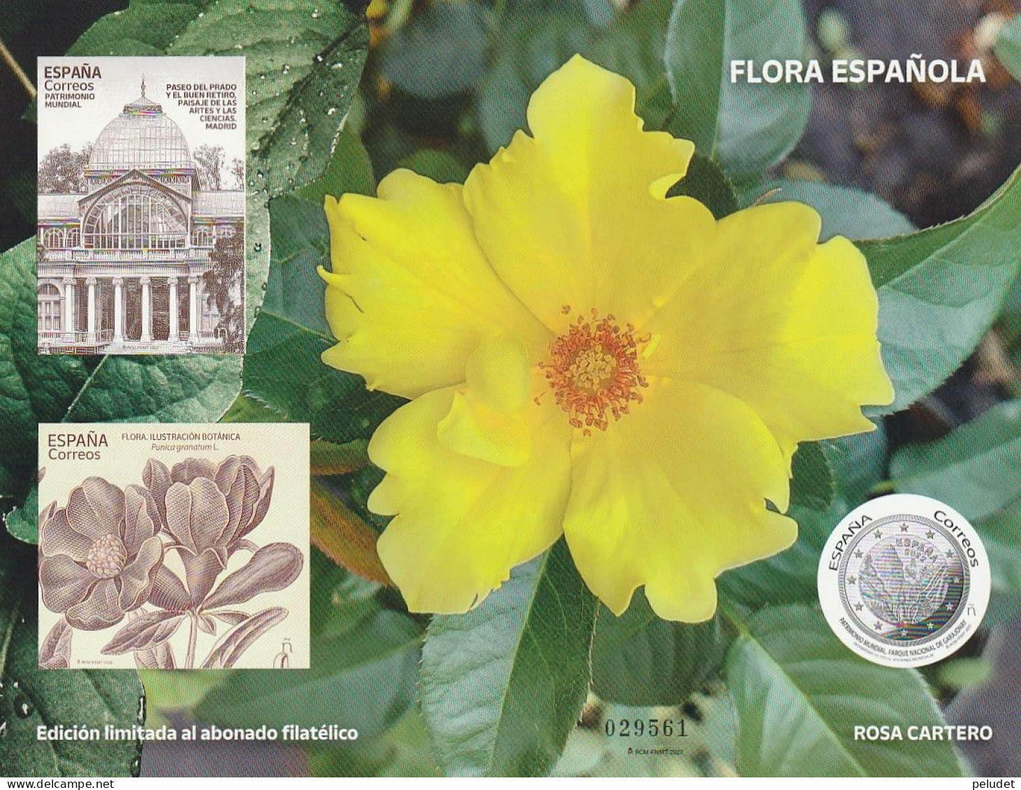 Espagne Spain España - Flora Española - Spanish Flora - Flore Espagnole 2002 - Epreuve Philatélique - Philatelic Proof - Prove & Ristampe