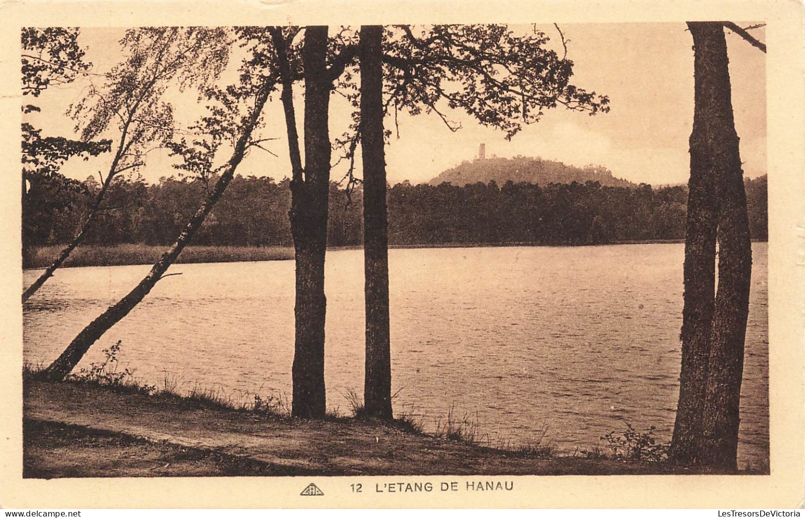 ALLEMAGNE - Hanau - L'étang De Hanau - Carte Postale Ancienne - Hanau