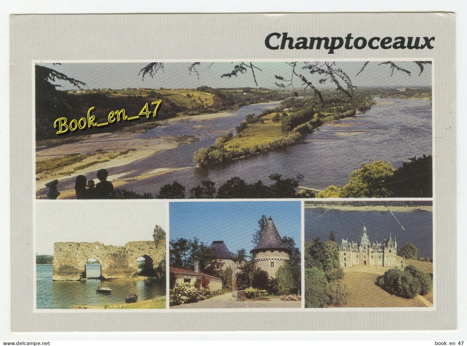 {90765} 49 Maine Et Loire Champtoceaux , Multivues ; Panorama De La Ville - Champtoceaux
