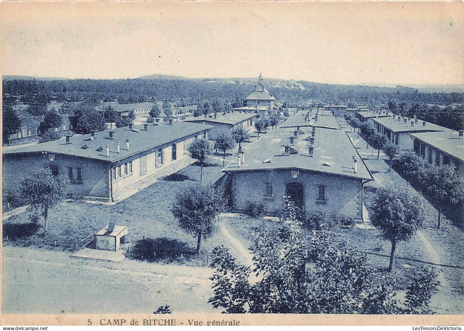 FRANCE - Bitche - Camp De Bitche - Vue Générale - Carte Postale Ancienne - Bitche