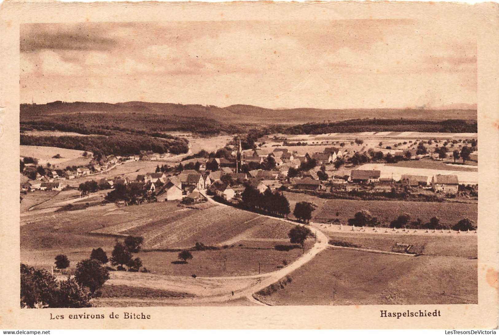 FRANCE - Environs De Bitche - Haspelschiedt - Vue Panoramique - Carte Postale Ancienne - Bitche