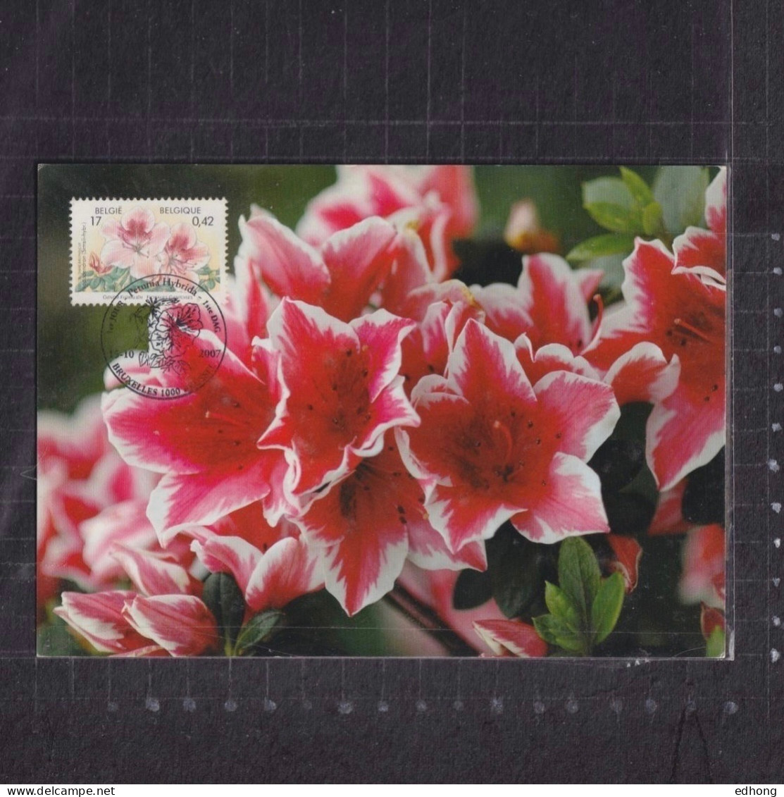 [Carte Maximum / Maximum Card /  Maximumkarte]  Belgium 2007 | Rhododendron, Stamp Issued On 2000 - 2001-2010