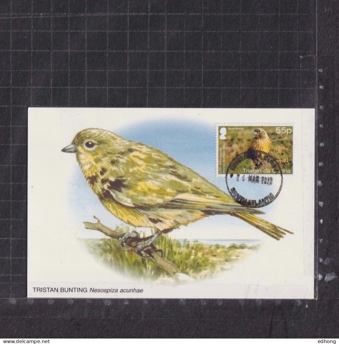 [Carte Maximum / Maximum Card /  Maximumkarte] Tristan Da Cunha 2020 | World Heritage Site - Tristan Bunting - Sparrows