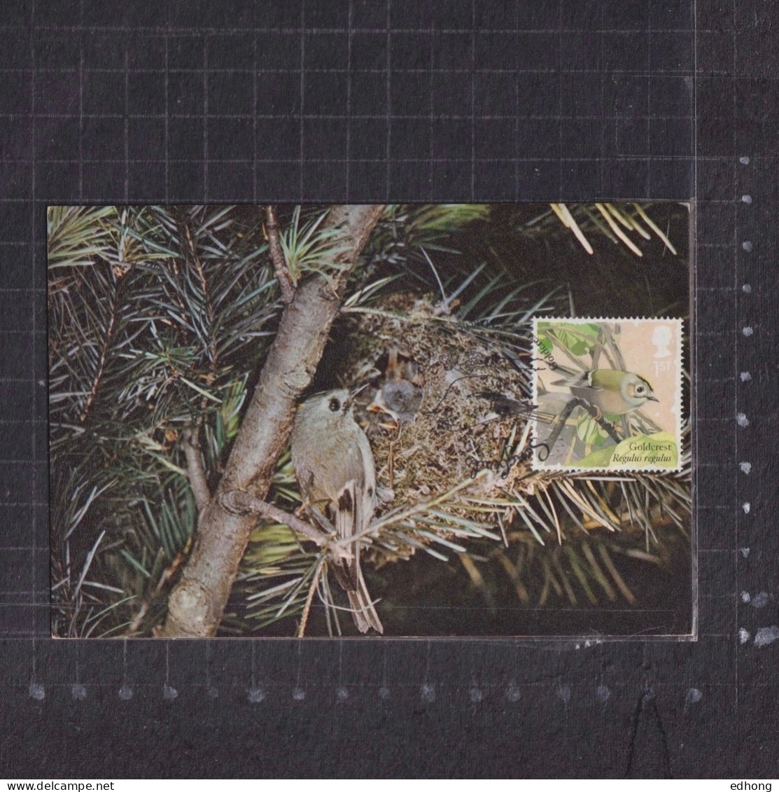 [Carte Maximum / Maximum Card /  Maximumkarte] Great Britain 2017 | Songbirds - Goldcrest - Maximumkarten (MC)