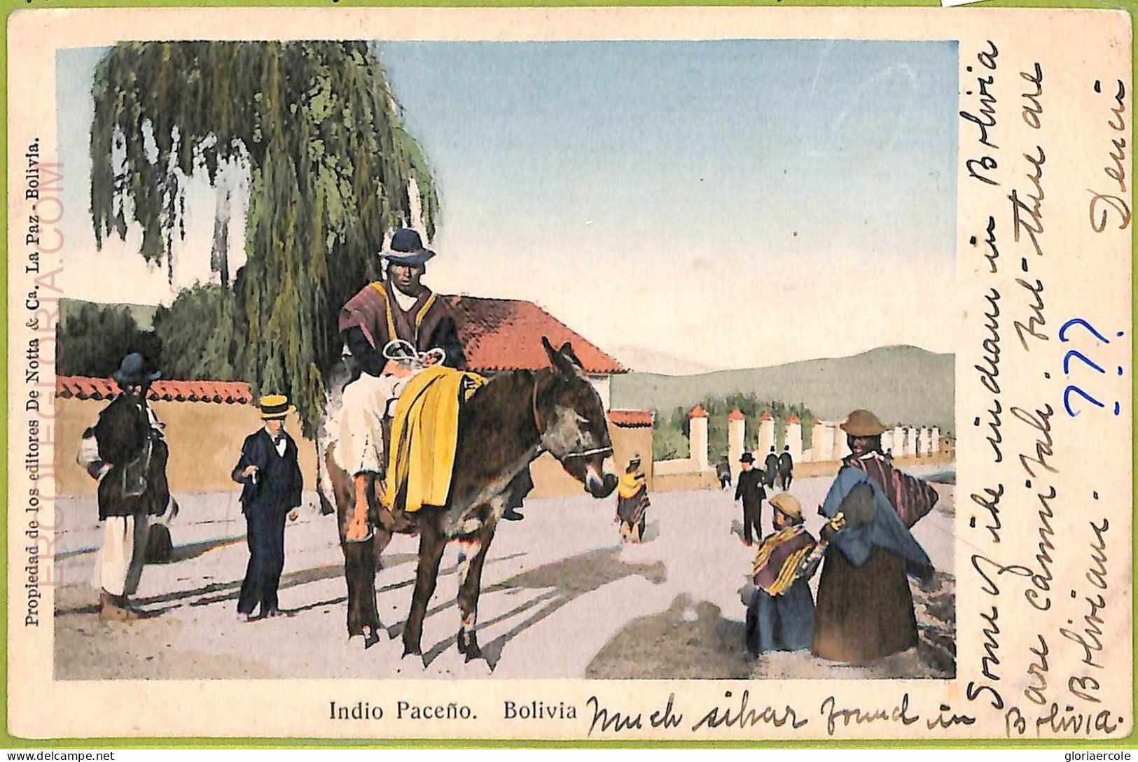 Af1476 - BOLIVIA - Vintage Postcard - Indios Paceno - Bolivie