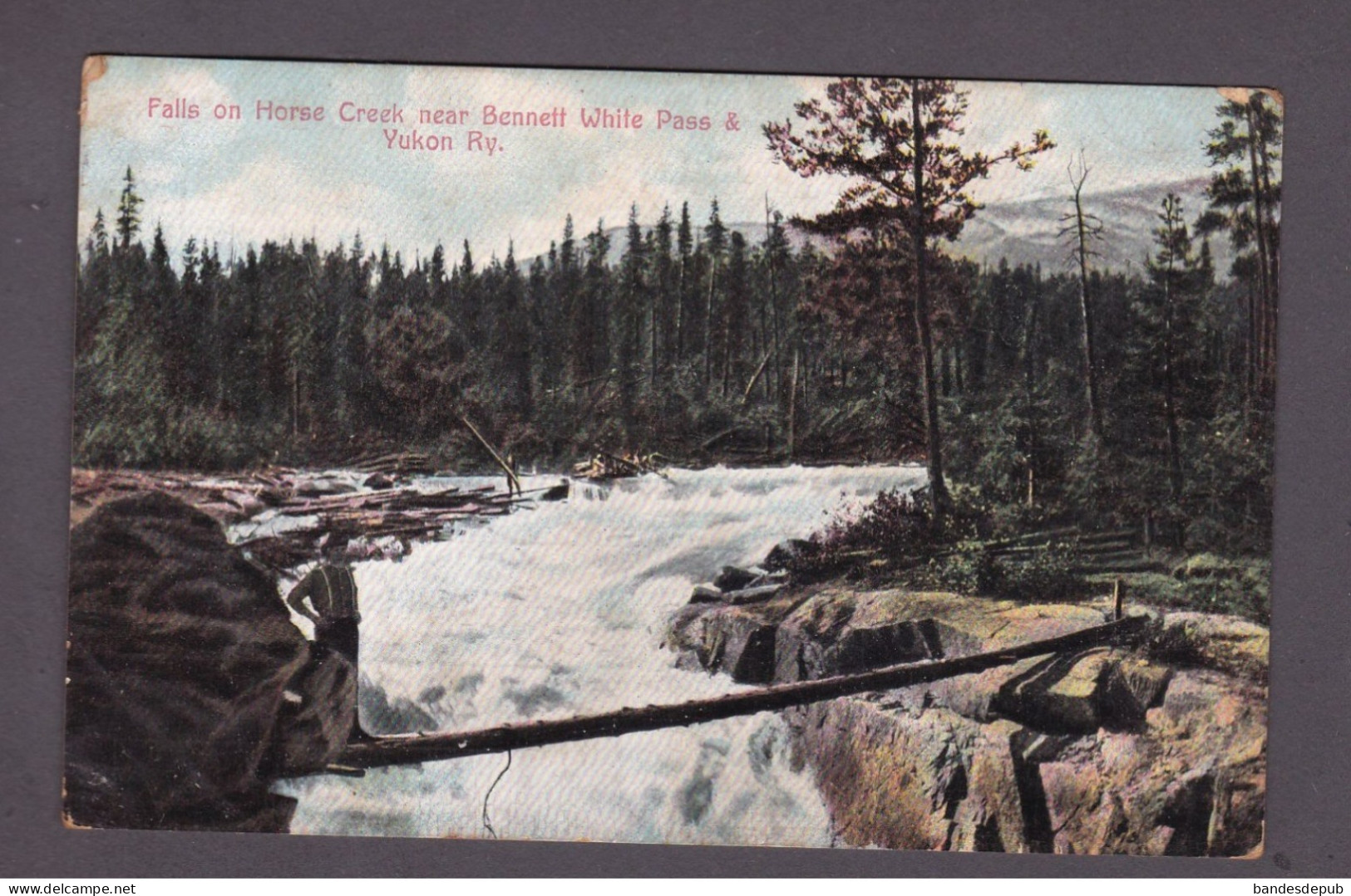 Canada Falls On Horse Creek Near Bennett White Pass & Yukon Ry ( Animée Chutes 58222) - Yukon