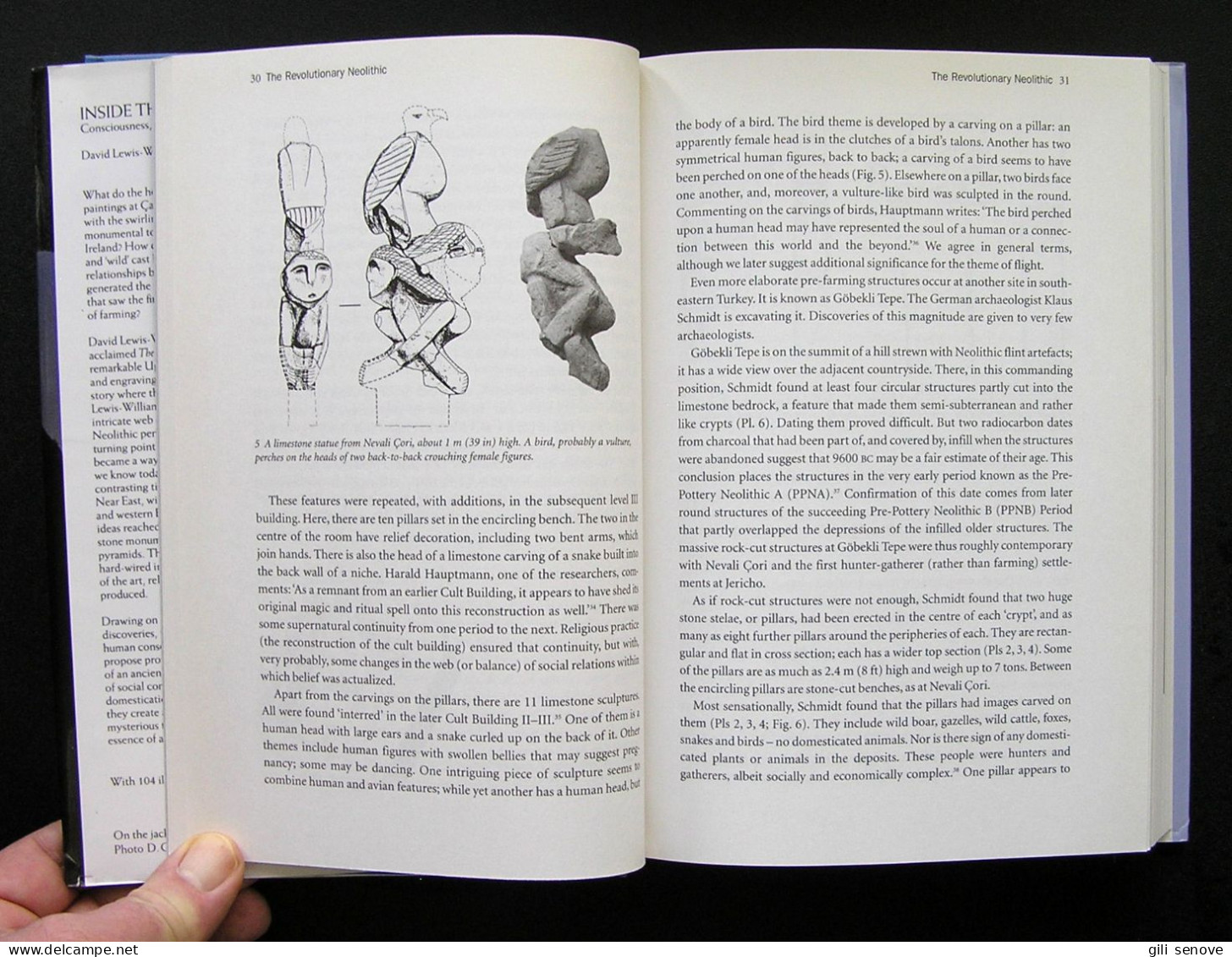 Inside The Neolithic Mind By David Lewis-Williams 2005 - Ontwikkeling