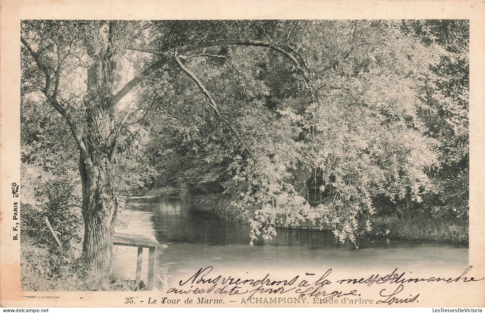 FRANCE - Le Tour De Marne - A Champigny - Etude D'arbre - Carte Postale Ancienne - Champigny