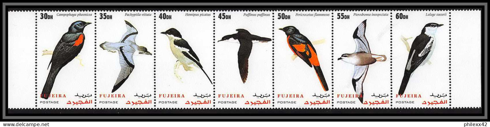 Fujeira - 1532b Bande + Série ** MNH Oiseaux Marin Puffinus Pericrocotus Passereaux Lalage Bird Seabirds NON EMIS RR - Konvolute & Serien