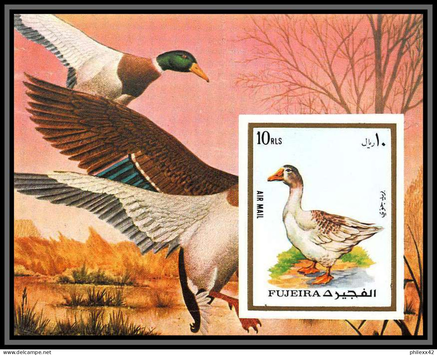 Fujeira - 1574/ Bloc N° 131 B Domesctic Goose Oie ** MNH Non Dentelé Imperf  - Eenden