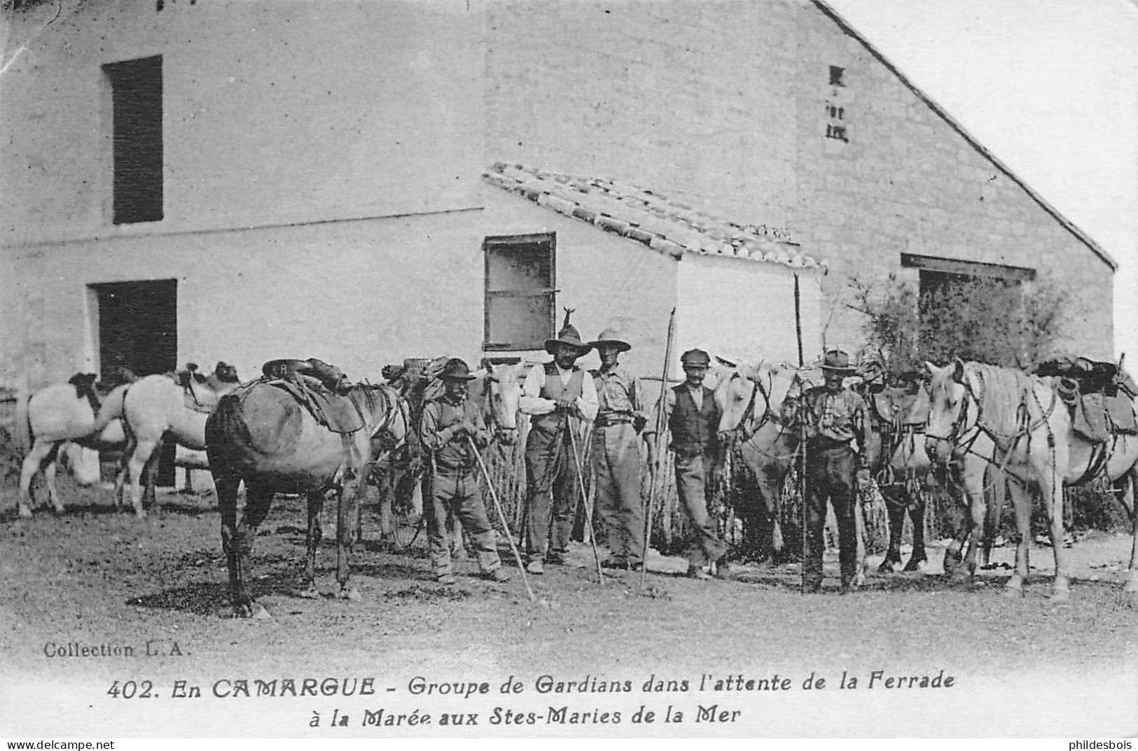 BOUCHES DU RHONE  SAINTES MARIES DE LA MER  En Camargue  Les Gardians Dans L'attente De La Ferrade - Saintes Maries De La Mer