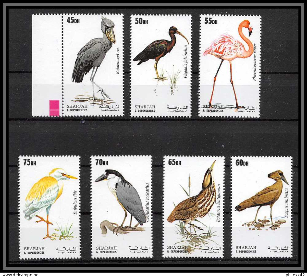 Sharjah - 2026a/ Série Oiseaux (bird Birds Oiseau) Cigogne Échassier Wader Storks ** MNH  - Picotenazas & Aves Zancudas