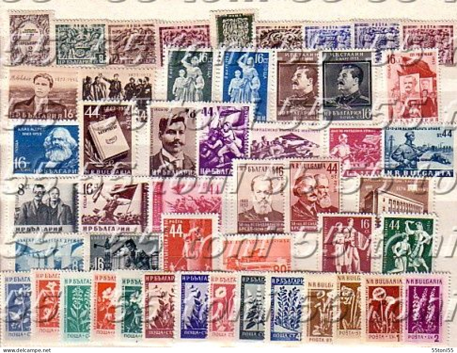 Comp.-MNH 1950,1951,1952,1953,1954,1955. Mi-718/978 Bulgaria/Bulgarie - Années Complètes