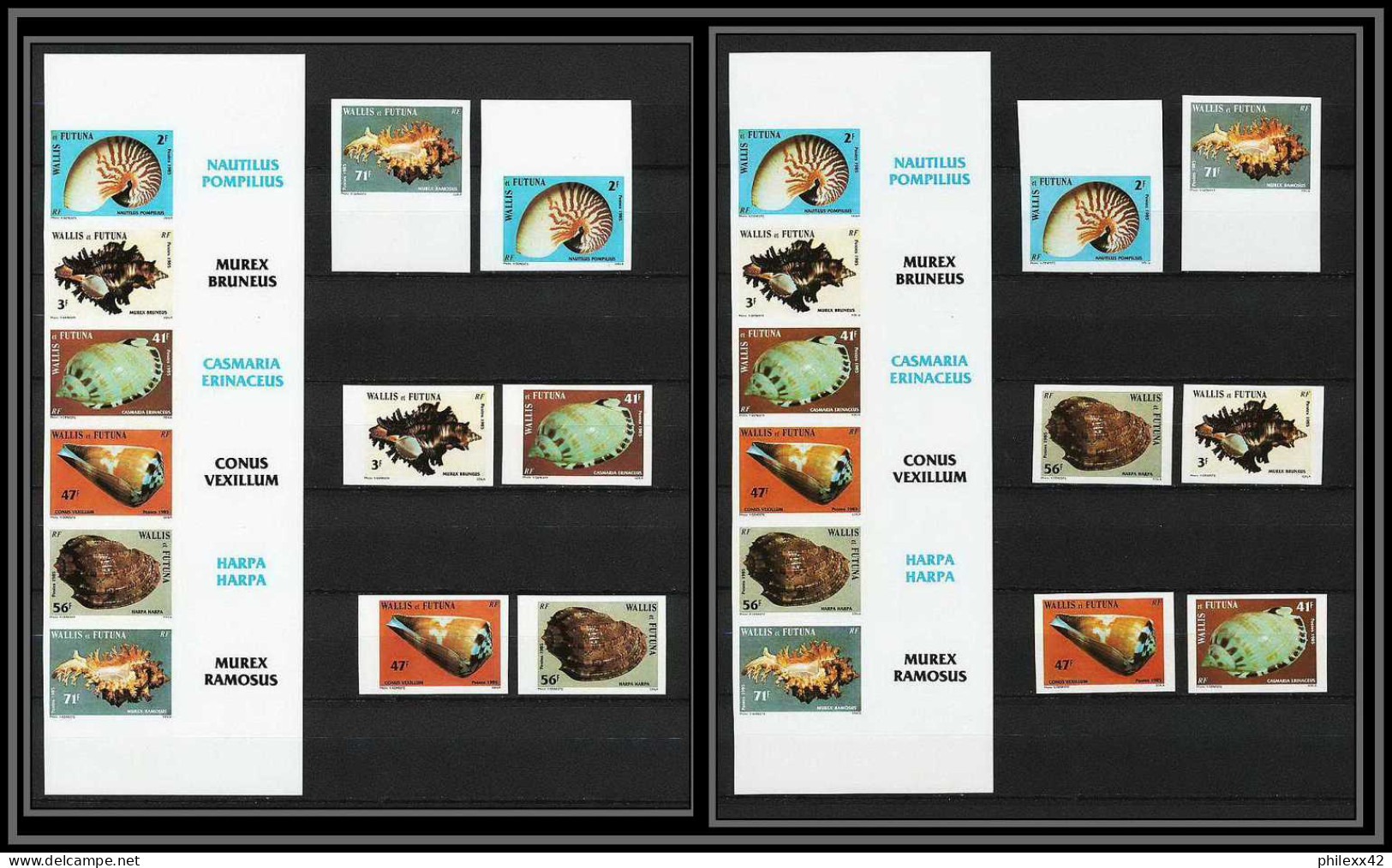 90524b Wallis Et Futuna N°323/328 Coquillages Shellfish Sea Shell Shells Non Dentelé Imperf + Tirage Carton Perfect Set  - Non Dentelés, épreuves & Variétés