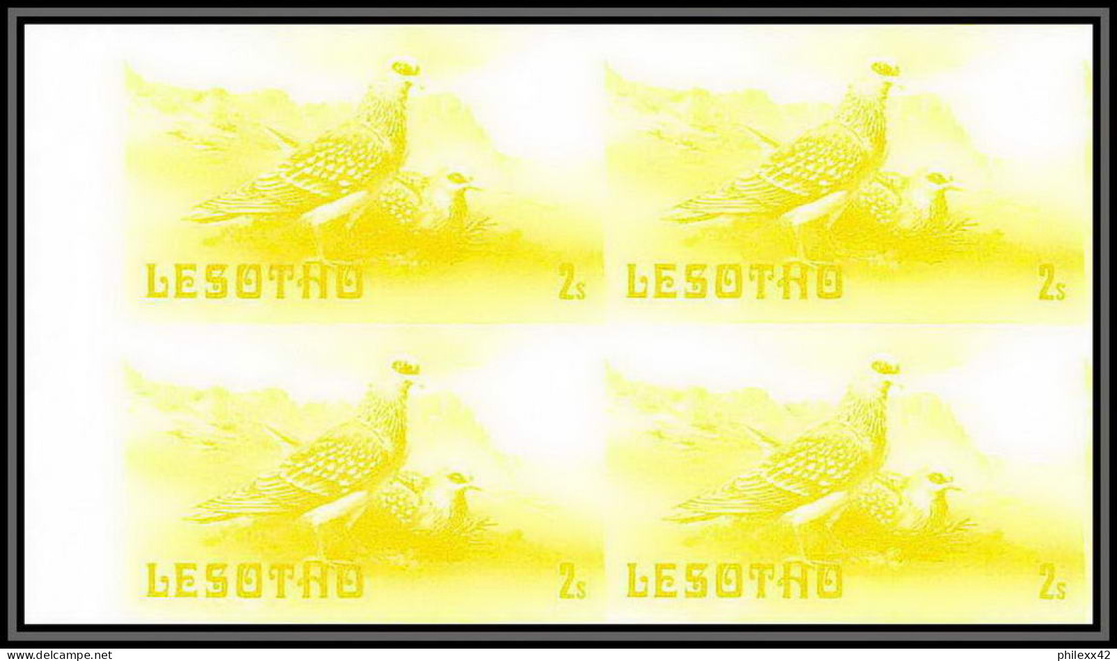 91865a Lesotho N° 443 Pigeon Roussard (columbe Columba Guinea Dove) Oiseaux Essai Proof Non Dentelé Bloc 4 MNH ** - Columbiformes