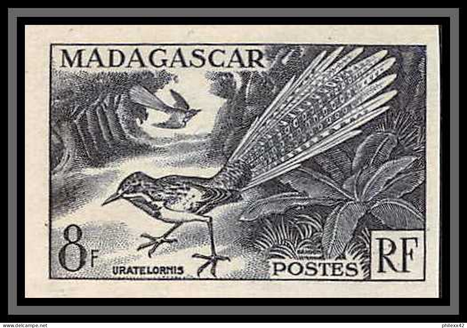 91977b Madagascar N°323 Oiseaux Bird Uratelornis Brachyptérolle à Longue Queue Essai Proof Non Dentelé Imperf ** Mnh - Nuovi