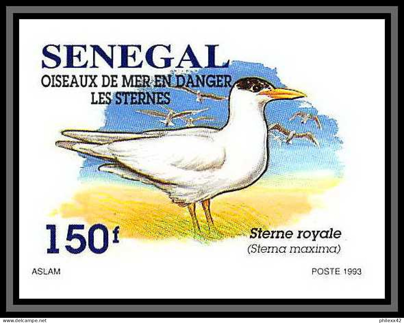 92732b Sénégal N°1153/1156 Sterne Oiseaux De Mer Seabird Birds Tern Non Dentelé ** MNH Imperf - Seagulls