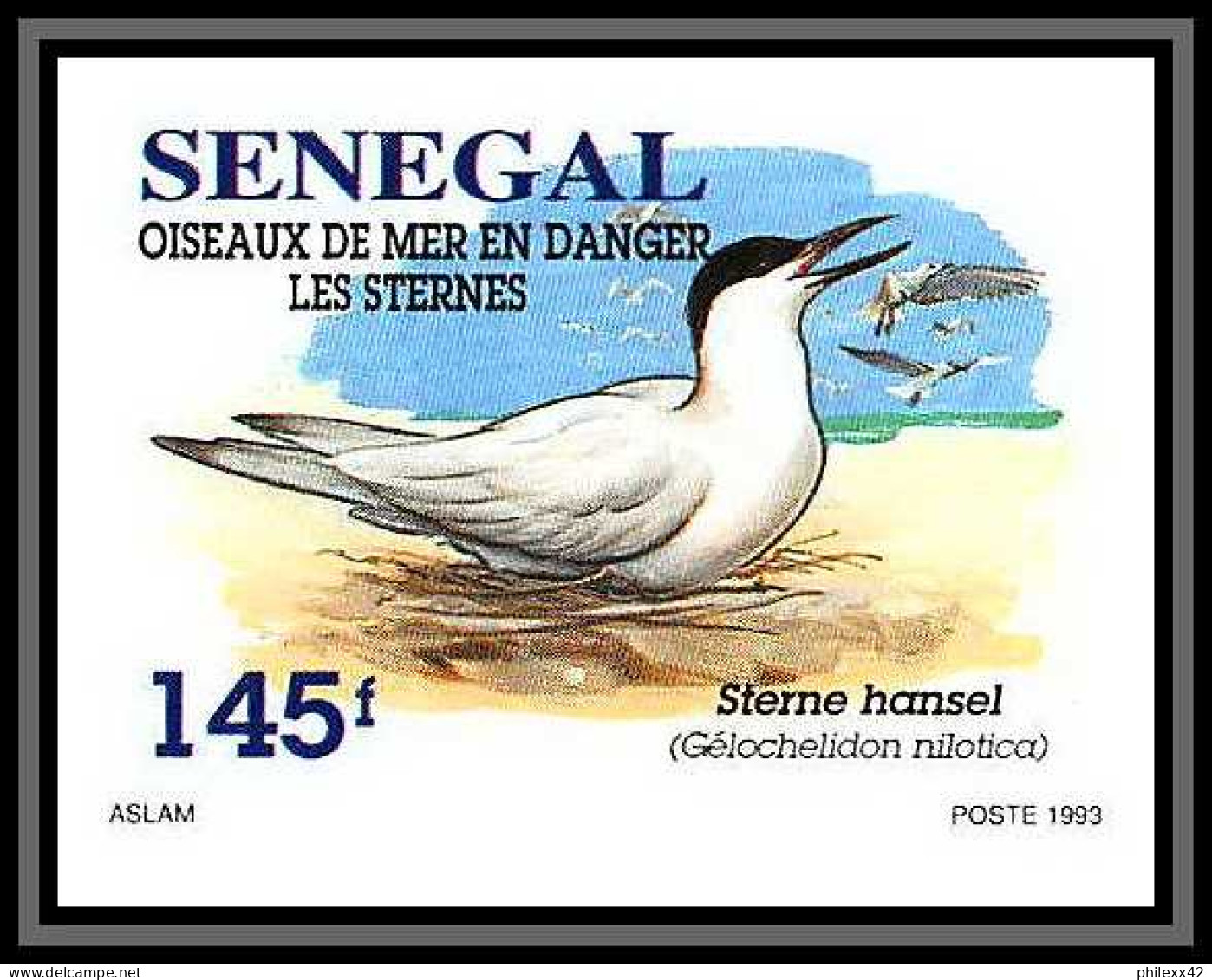 92732b Sénégal N°1153/1156 Sterne Oiseaux De Mer Seabird Birds Tern Non Dentelé ** MNH Imperf - Möwen