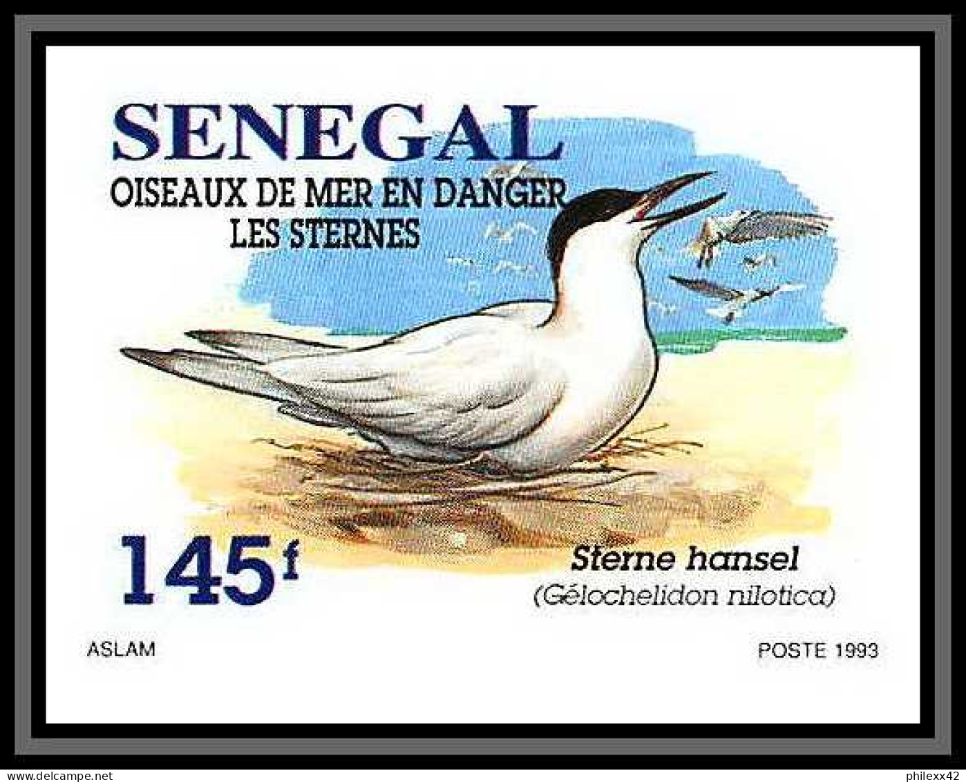 92732b Sénégal N°1153/1156 Sterne Oiseaux De Mer Seabird Birds Tern Non Dentelé ** MNH Imperf - Seagulls