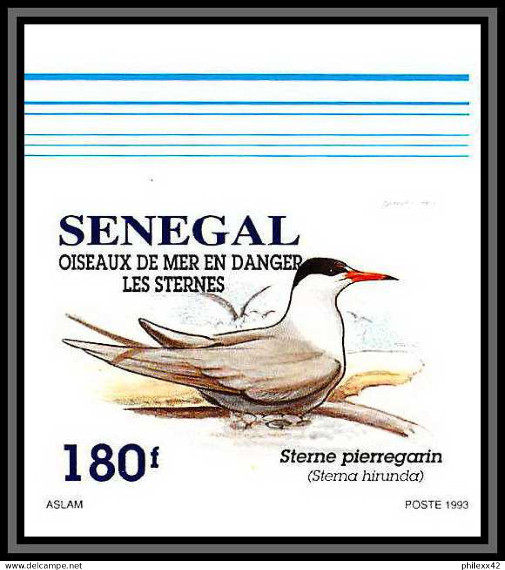 92732c Sénégal N°1153/1156 Sterne Oiseaux De Mer Seabird Birds Tern Non Dentelé ** MNH Imperf - Konvolute & Serien