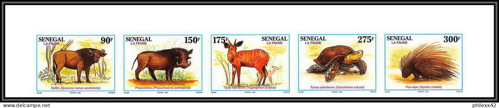 92737a Sénégal N°1144/1148 Buffalo Tortue Turtle Phacochère Warthog Porc Epic Animals 1995 Non Dentelé ** MNH Imperf - Roditori