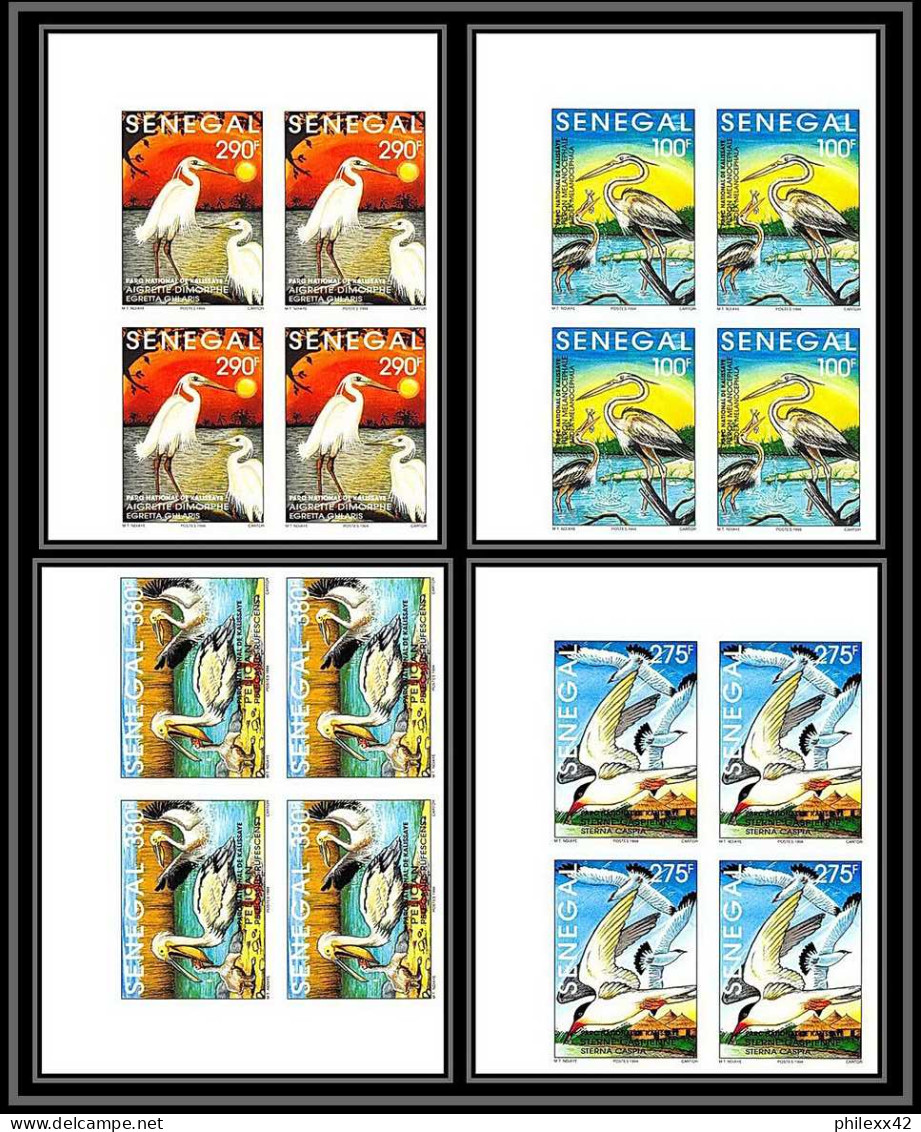 92747a Sénégal N°1108/1111 Kalissaye Oiseaux Birds 1994 Pelicans / Terns / Egrets Non Dentelé ** MNH Imperf Bloc 4 - Konvolute & Serien