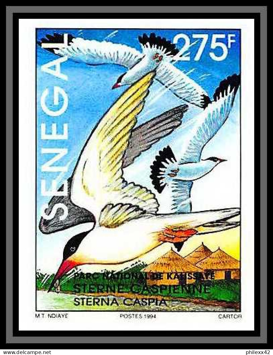 92747b Sénégal N°1108/1111 Kalissaye Oiseaux Birds 1994 Héron Sterne Pelican Aigrette Terns Non Dentelé ** MNH Imperf  - Collections, Lots & Series