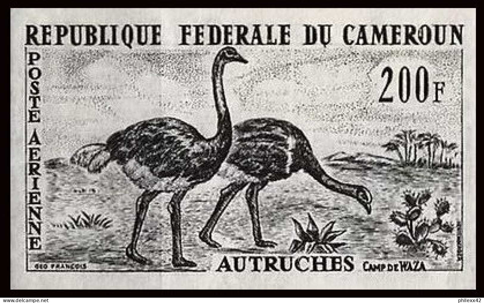 92878 Cameroun PA N°55 Autruche Ostrich Autruches Essai Proof Non Dentelé ** (MNH Imperf) - Struisvogels