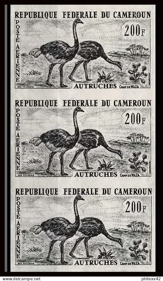 92879 Cameroun PA N°55 Autruche Ostrich Autruches Essai Proof Non Dentelé ** (MNH Imperf) Bande De 3 - Straussen- Und Laufvögel