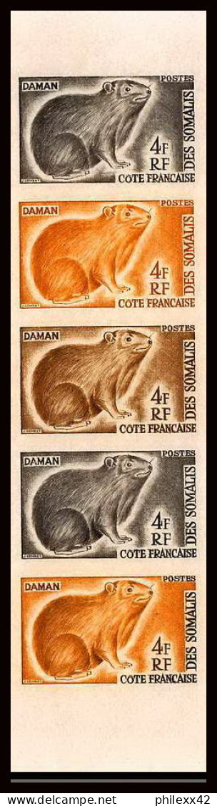 93028b Cote Française Des Somalis N°306 Daman Animals Mammals Essai Color Proof Non Dentelé Imperf ** MNH Bande De 5 - Rongeurs